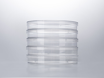 培養皿蓋外邊緣凸起，保證疊放穩定；